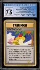 Tropical Wind