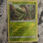 Tropius