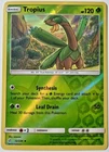 Tropius