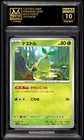 Turtwig