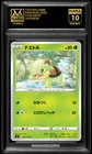 Turtwig