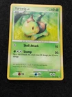 Turtwig