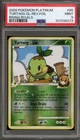 Turtwig GL