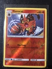 Torracat