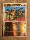 Sudowoodo