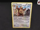 Ursaring