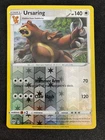 Ursaring
