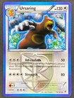 Ursaring