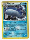 Wailord