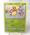 Ledyba