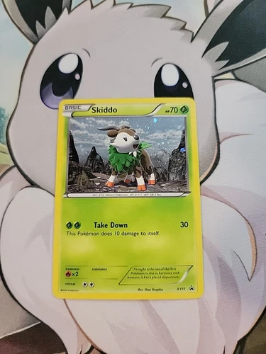 Skiddo