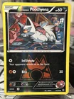 Team Magma's Poochyena