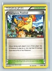 Champions Festival