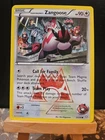 Team Magma's Zangoose