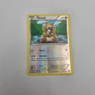 Bidoof
