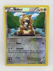 Bidoof