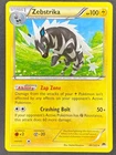 Zebstrika