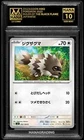 Zigzagoon