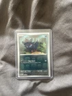 Zorua