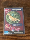 Dragonite