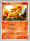 Ponyta