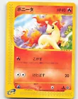 Rattata