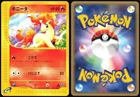 Ponyta