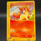 Ponyta