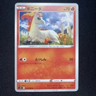 Ponyta