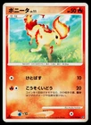 Ponyta