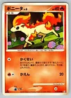 Ponyta