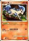 Ponyta