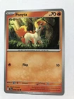 Ponyta
