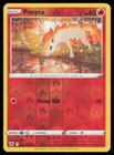 Ponyta