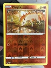 Ponyta