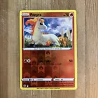 Ponyta