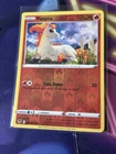 Ponyta