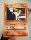 Ponyta