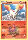 Ponyta
