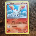Ponyta