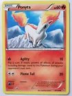 Ponyta
