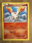 Ponyta