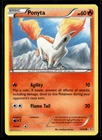 Ponyta