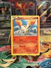 Ponyta