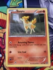 Ponyta