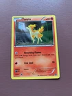 Ponyta