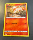 Ponyta