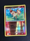 Ponyta
