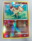 Ponyta