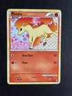Ponyta